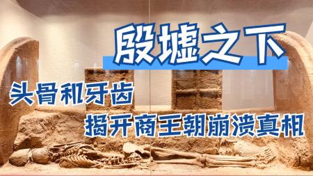 殷周革命与青铜王朝的兴衰 世界很喧嚣，做自己就好_电子书