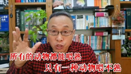每日荐书0529 自私的人类 慢一点也没关系_电子书