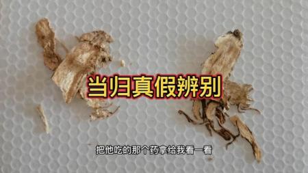 最新中草药真伪鉴别实用大全_电子书