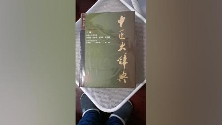 中医大辞典_电子书