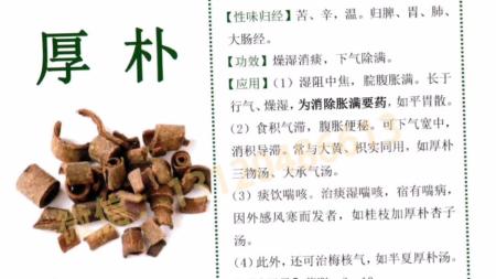 中药图谱_电子书