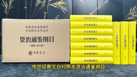 诗外文章文学历史哲学的对话 情绪急救手册 资治通鉴纲目_电子书