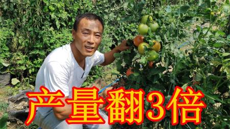 图说各种蔬菜水果的高效栽培合集，共50本_电子书