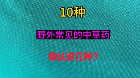 中草药野外识别手册_电子书