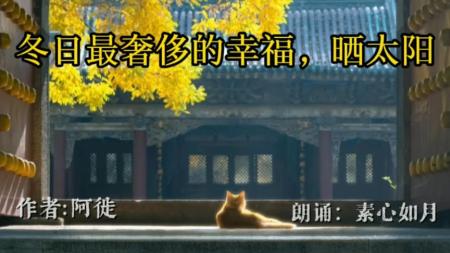【书籍】你来人间一趟，你要看看太阳：致孤独的路人（共12册）_电子书