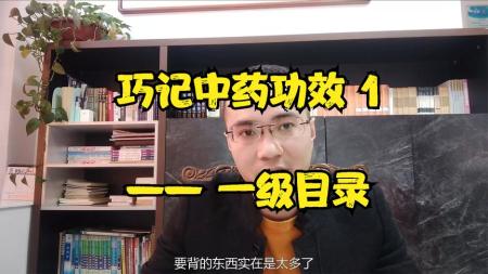 巧记、熟练、妙用中医丛书_电子书