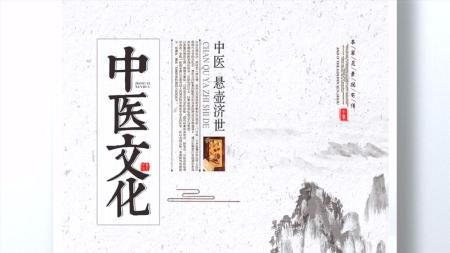 中医名家名师讲稿_电子书