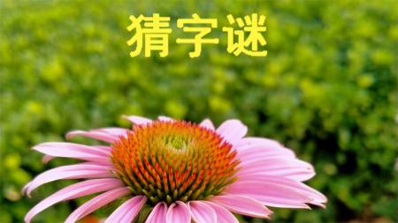谜语大全，中华灯谜教程(精编版)，猜谜技巧与灯谜创作入门_电子书