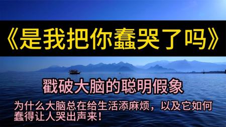 是我把你蠢哭了吗 市民底层笔记 失控的真相：为什么你知道得很多，智慧却很少_电子书