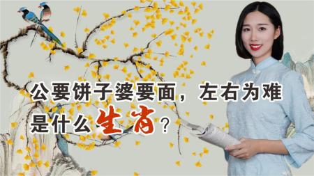 中华谜语（共11大类灯谜，11卷全）_电子书