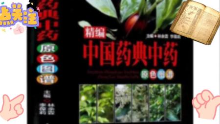中草药原色图谱_电子书