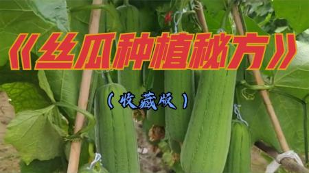 观花兰花野花百花图鉴 养殖类书籍 种植类书籍_电子书