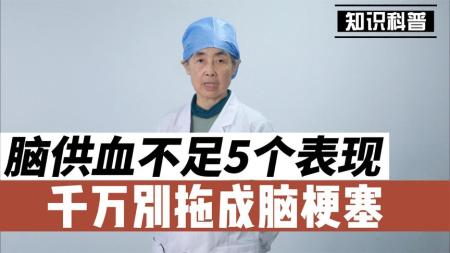 太阳坠落  征服  宋:风雅美学的十个侧面_电子书