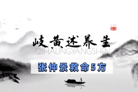 张仲景医学全集_电子书
