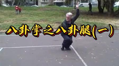 传统八卦掌_电子书