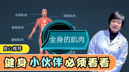 人体解剖学-第四军医大学...主讲，全130讲_电子书