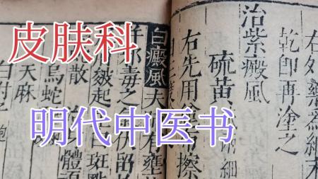 东洋医学善本丛书_电子书