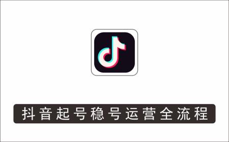 [视频项目]_婉婉-抖音起号稳号运营全流程，解决从小白到进阶所有运营知识，帮助解决账号所有运营难题