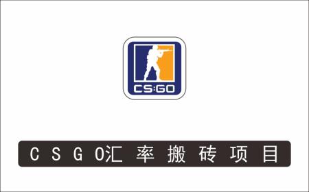 [搬砖带货]_外面9800的CSGO汇率搬砖项目，一个月轻松赚几千【选品软件+详细教程】