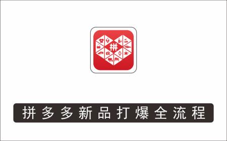 [电商店群]_互力-拼多多新品打爆全流程，拼多多14天拉搜索自然流量，更落地·快速提升