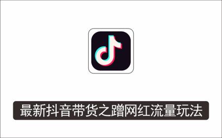 [电商店群]_最新抖音带货之蹭网红流量玩法，轻松月入8w+【详细玩法教程】