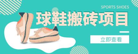 外面收费998的球鞋搬砖项目，月入轻松5000+的项目案例解析