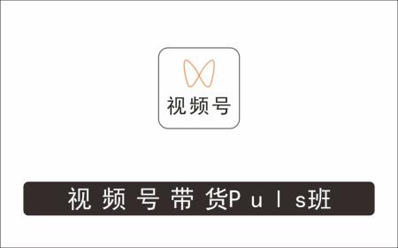 [视频项目]_大播汇·视频号带货Puls班，视频号底层逻辑，起号自然流鱼塘等玩法