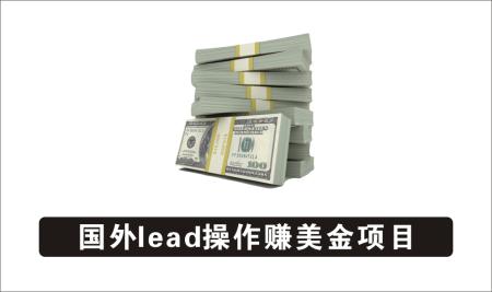 [广告联盟]_国外lead操作赚美金项目