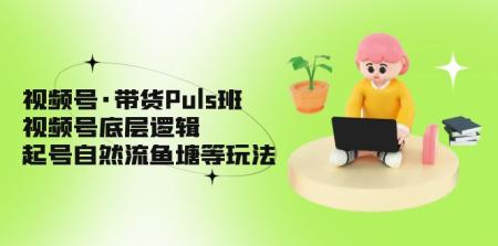 （5027期）视频号·带货Puls班，视频号底层逻辑，起号自然流鱼塘等玩法