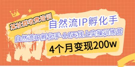 [吾爱网赚]某社群收费培训：自然流IP 孵化手-14天线上实操训练营 4个月变现200w