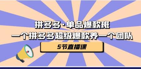 [吾爱网赚]拼多多·单品爆款班，一个拼多多超级爆款养一个团队（5节直播课）