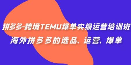 [吾爱网赚]拼多多-跨境TEMU爆单实操运营培训班，海外拼多多的选品、运营、爆单