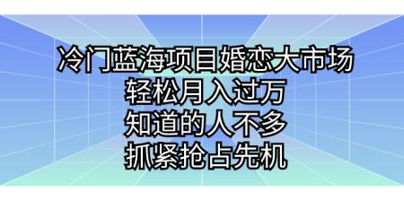 [吾爱网赚]冷门蓝海项目婚恋大市场，轻松月入过万，知道的人不多，抓紧抢占先机。
