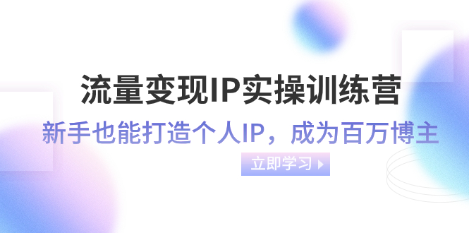 [网赚]流量变现-IP实操训练营：新手也能打造个人IP，成为百万 博主（46节课）