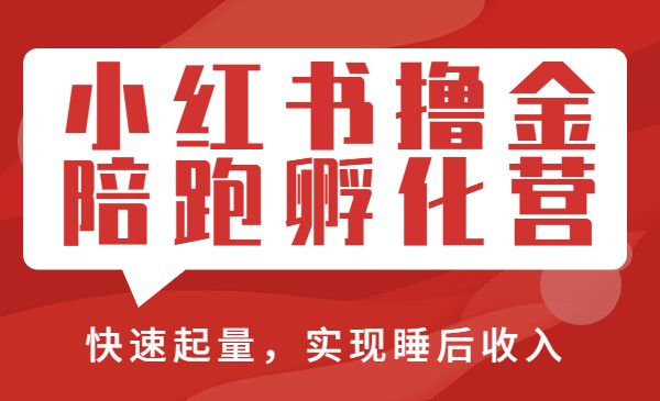 小红书撸金陪跑孵化营，快速起量，在小红书实现睡后收入