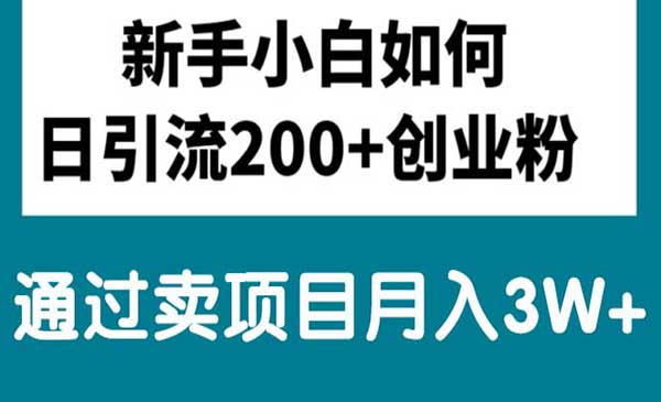 小白日引流200+创业粉