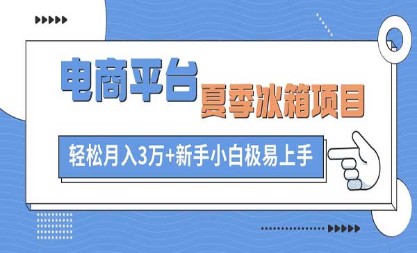 电商平台夏季冰箱项目