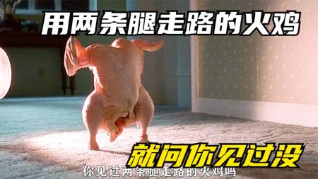 《恐怖幽灵》小伙拥有阴阳眼，还养了几只阿飘到处行骗，结局亮了