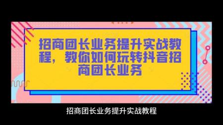 R348 招商团长业务提升实战教程S
