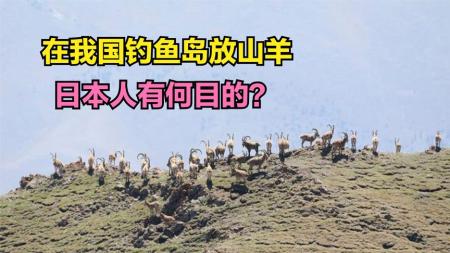 40年前，日本人在我国钓鱼岛上放山羊，有何目的？