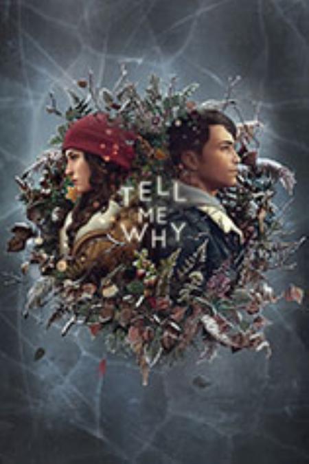 TellMeWhy免安装绿色中文版_冒险解谜AVG_中文_绿色版_TellMeWhy