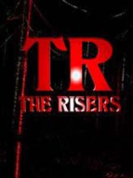 TR格斗免安装绿色版_格斗游戏FTG_英文_绿色版_TheRisers