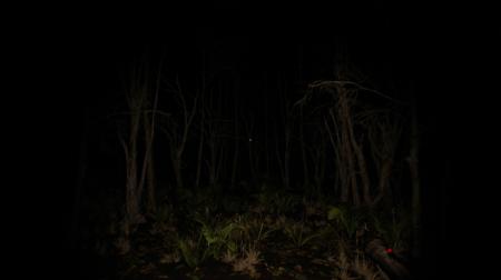 《V696》游戏截图