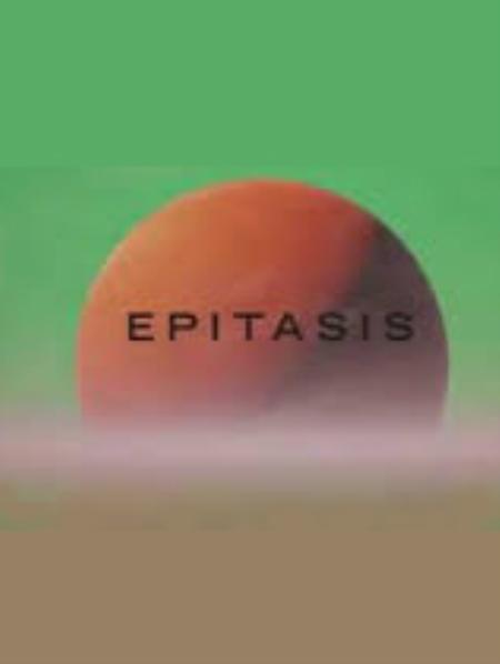 上位免安装绿色中文版_冒险解谜AVG_中文_绿色版_Epitasis