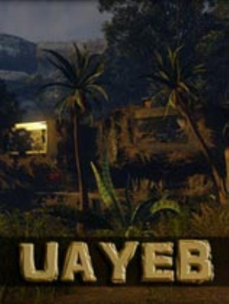 UAYEB免安装绿色版_动作游戏ACT_英文_绿色版_UAYEB