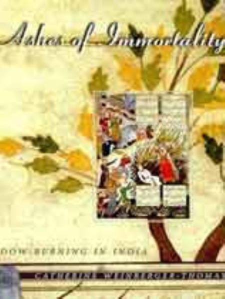 不朽的灰烬2：仇恨完整硬盘版_角色扮演RPG_英文_硬盘版_AshesofImmortality2:BadBlood