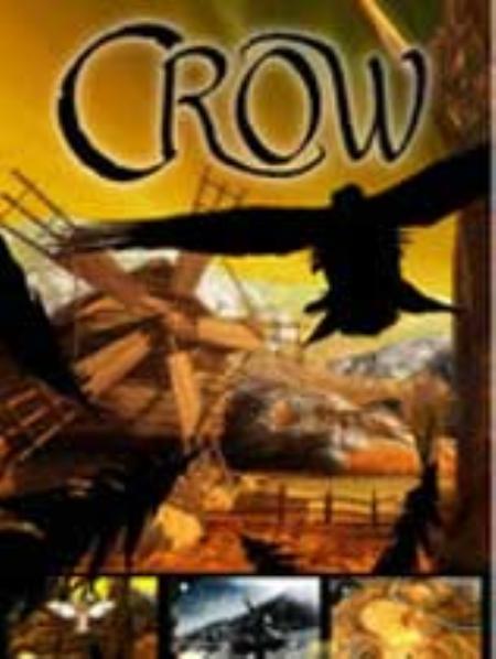 乌鸦冒险免安装绿色版_动作游戏ACT_英文_绿色版_Crow