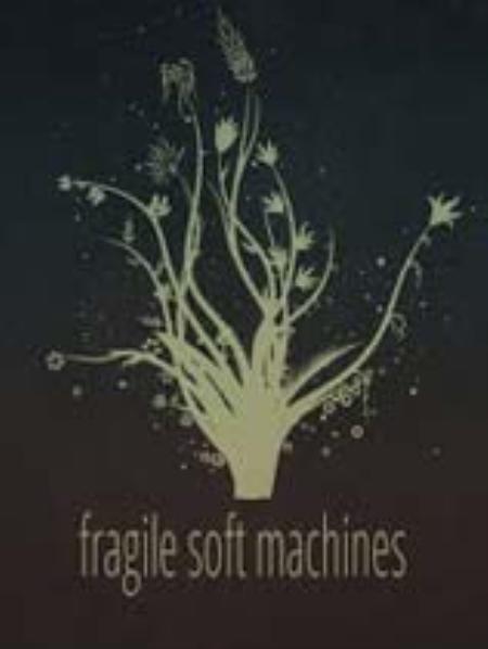 脆弱之机免安装绿色版_冒险解谜AVG_英文_绿色版_FragileSoftMachines