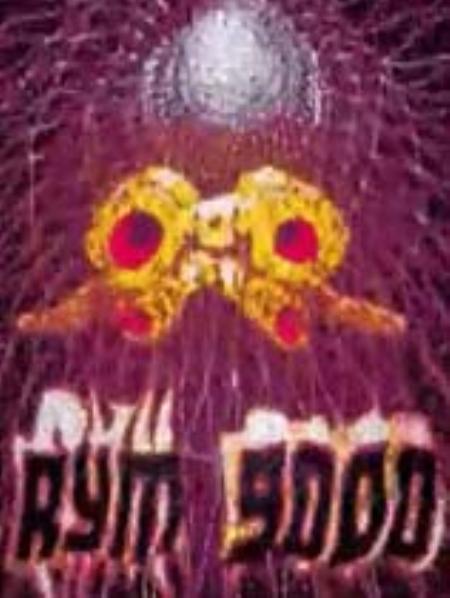 Rym9000免安装绿色版_动作射击STG_英文_绿色版_Rym9000