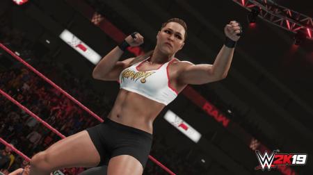 《WWE 2K19》游戏截图